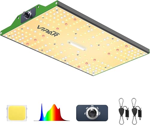 Budget Grow Lights vs Premium: What to Look For at Every Pri