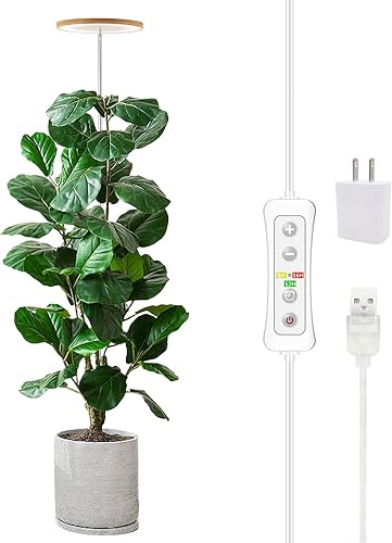 iDOO 12 Pod vs Gardyn Home Kit 3.0: Which Indoor Hydroponic 